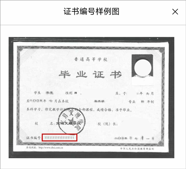 学信网怎么查询学历信息截图3
