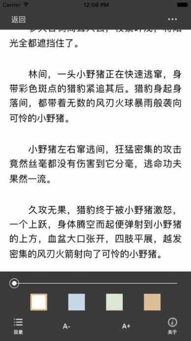 预览图3