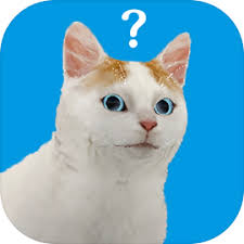 逃脱游戏猫的视角  V1.3.2下载