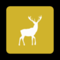 小鹿视频官方版下载安装