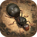 小小蚁国单机版下载 v1.90.0 