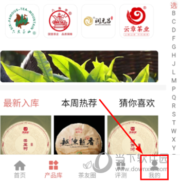 茶友网
