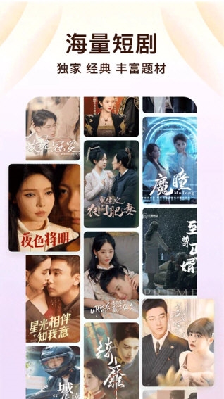 番茄免费小说4