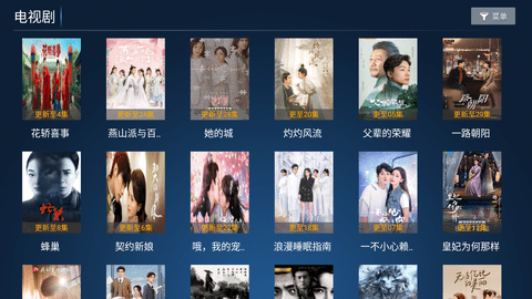 欢乐影院盒子版