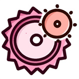 齿轮辅助安卓版下载 v13.15.0 