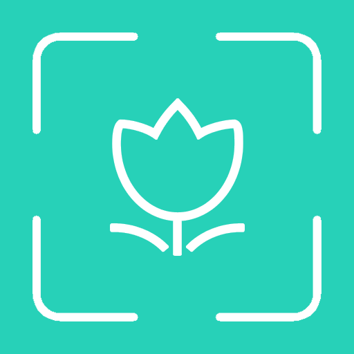 拍图识物app官方版1.1.1最新版