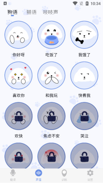 С׽app4