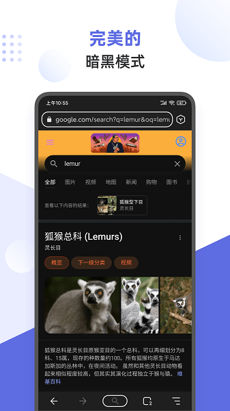 狐猴浏览器安卓手机版