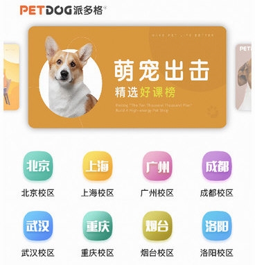 派多格宠物3