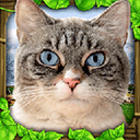 流浪猫模拟器下载 v1.0.4