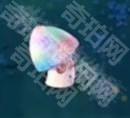 植物大战僵尸废物版
