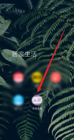 今日头条正版