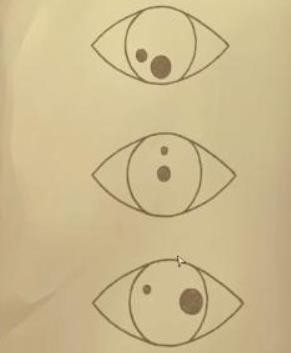 ֮ڶ¹