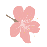 Pixiv Artvierv0.4.5 最新版