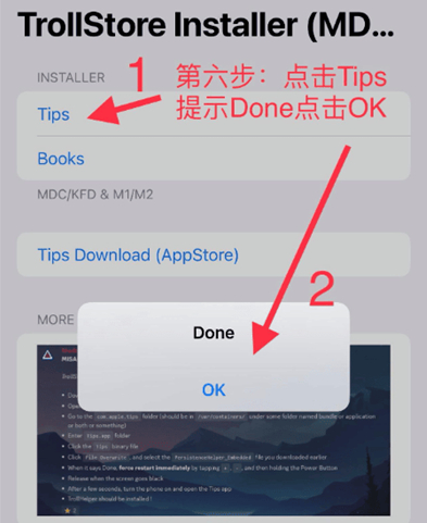 巨魔商店2下载安装最新版(trollstore2)