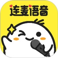 连麦v1.1.3