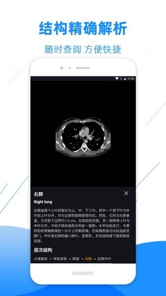 影像解剖图谱app v4.4.3