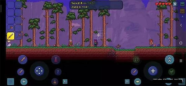 泰拉瑞亚全物品存档版