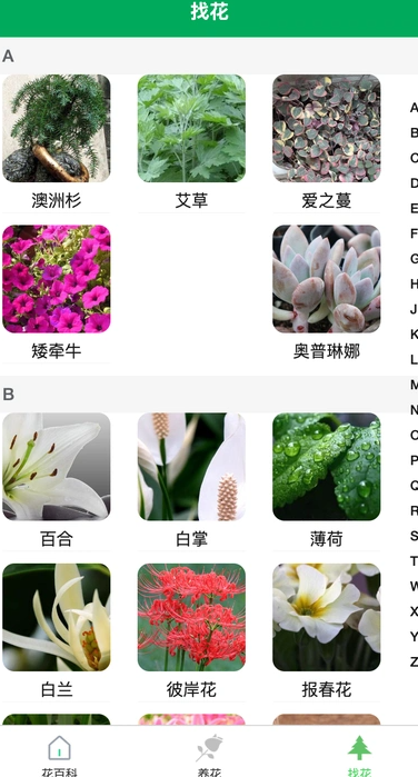 虎步花园app v1.0