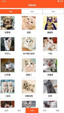 ȤèCat and Dog Translator