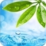 轻轻一点手机版v3.09.02