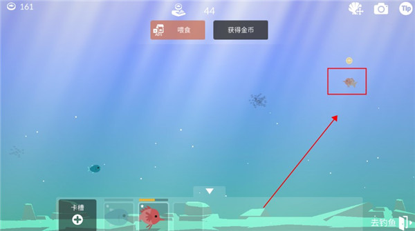 钓鱼人生官方版