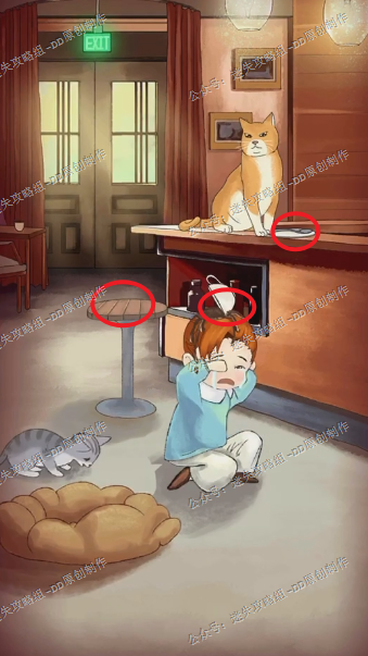 流浪的橘猫侠