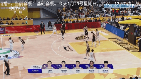 爱优直播2024最新版