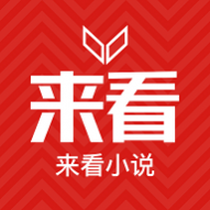 来看小说2024最新版 