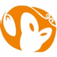 悟空搜索app官方版