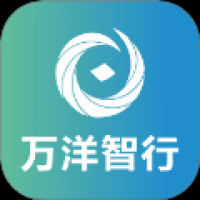 万洋智行