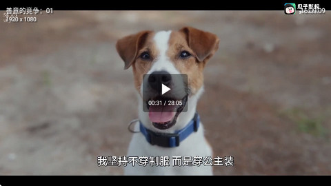 红苹果影视盒子TV免费版截图3