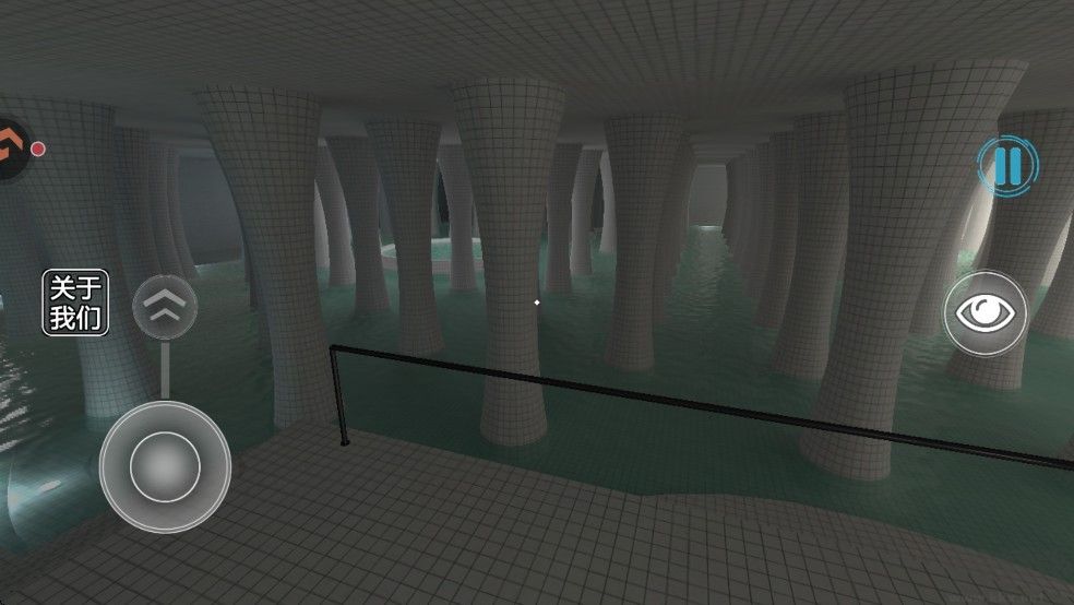 池核后室(POOLS)