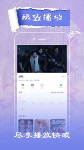 猪头影视截图2