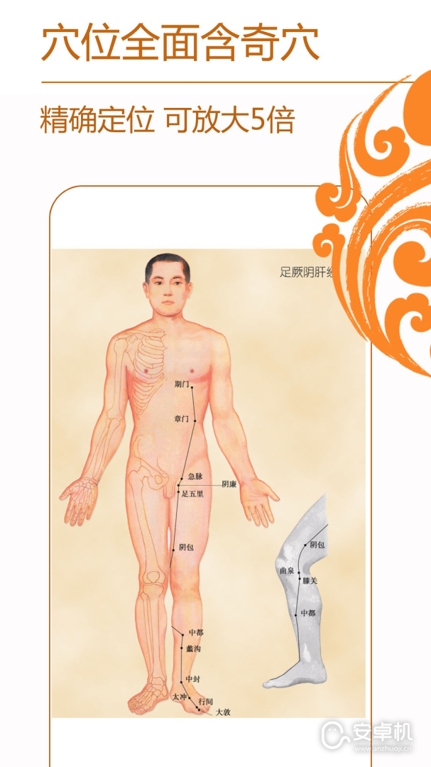 經(jīng)絡(luò)養(yǎng)生截圖2