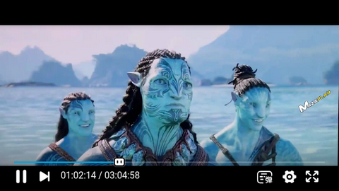 Chnnetflix影视最新版