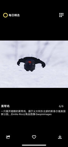 每日精选安卓版 v3.0.3