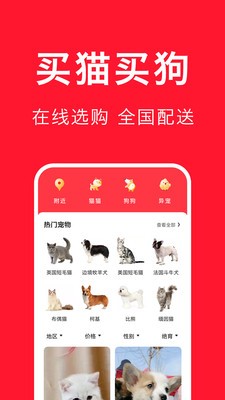 宠物宝安卓版 v4.5.2