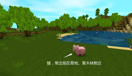 迷你世界九游版最新版