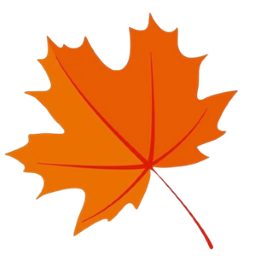 枫奕TV Pro版v912246146 最新版