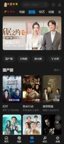 胖虎影视截图2