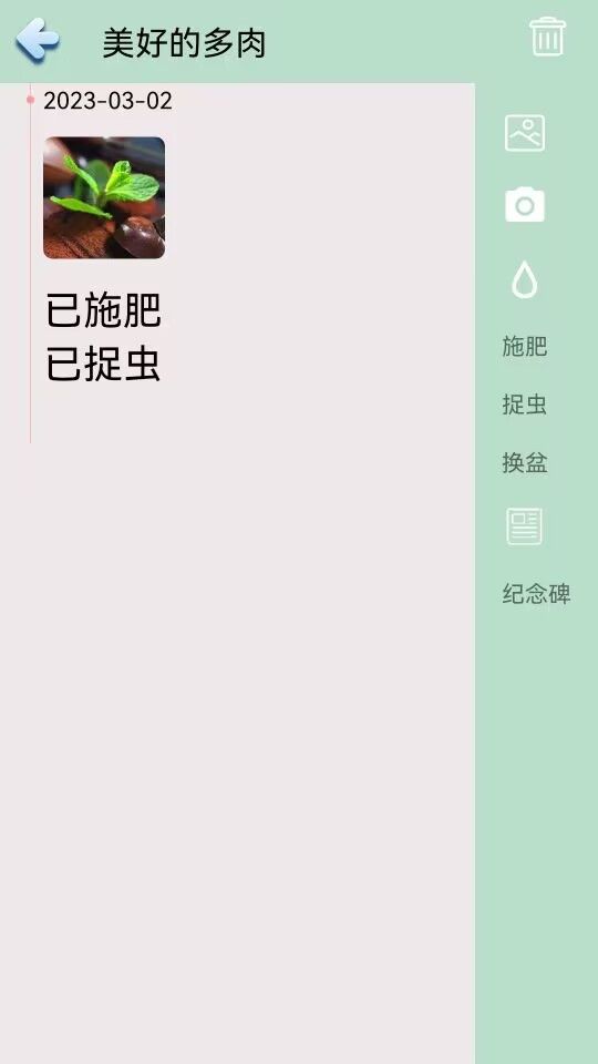 多肉花草成长日记