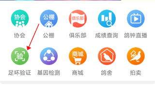 中国信鸽协会8