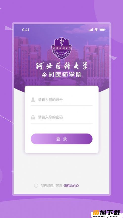 预览图2