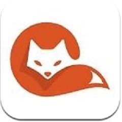 茶杯狐cupfox
