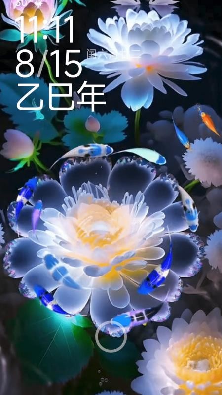 荷花锦鲤壁纸最新版