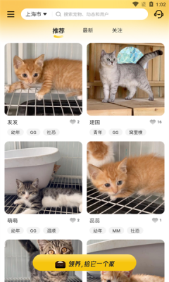 附近有喵app