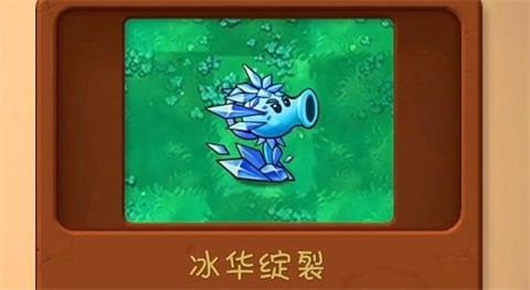 植物大战僵尸共生版正版
