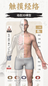 中济经络穴位app