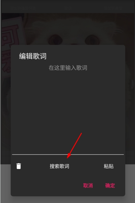 BlackPlayer EX图片6